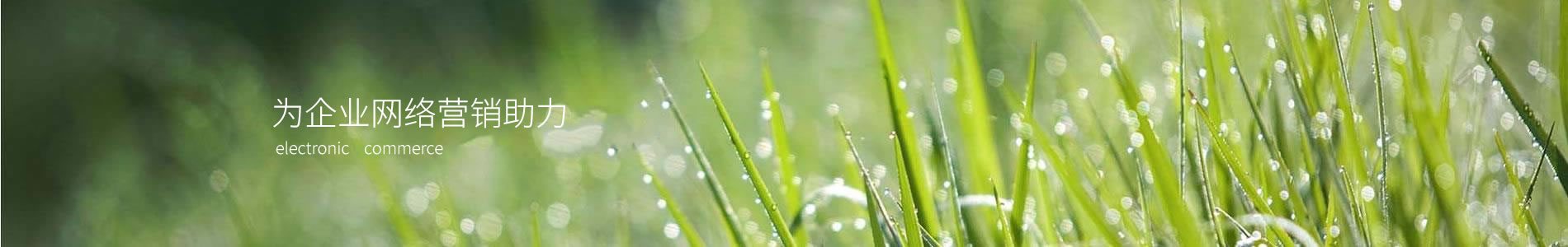 ޹˾̫ܿƼֹ˾